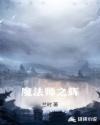 魔法师之辉封面