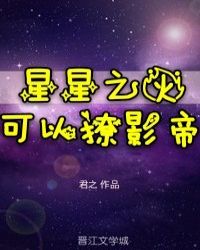 星星之火可以撩影帝封面