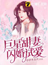 巨星甜妻闪婚试爱封面