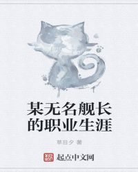 某无名舰长的职业生涯封面