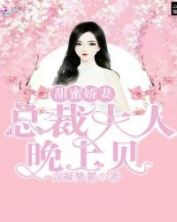 甜蜜娇妻：总裁大人晚上见封面