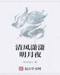 明月无相封面