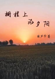 柵欄上的夕陽封面