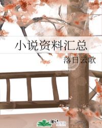 小說資料匯總封面