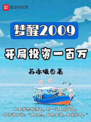 梦醒2009：开局投资一百万封面