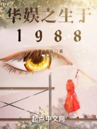 華娛之生於1988封面