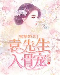 蜜糖婚戀：袁先生入骨寵封面