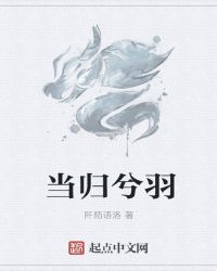 當歸兮羽封面