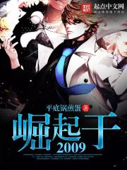 崛起於2009封面