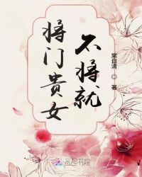 将门贵女不将就封面