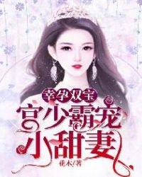 幸孕双宝：宫少霸宠小甜妻封面