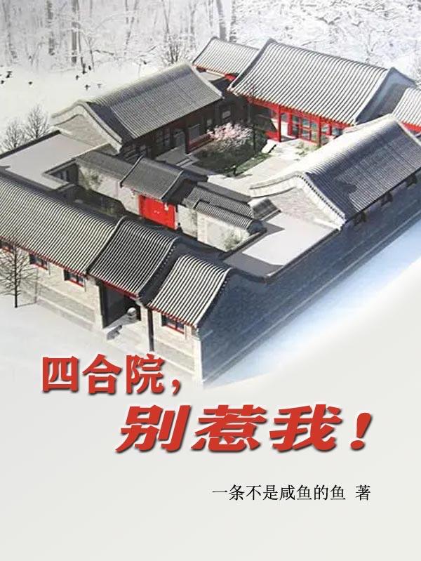 四合院，别惹我封面