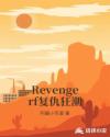 Revengerf复仇狂潮封面