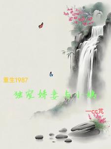 重生1987独宠娇妻与小姨封面