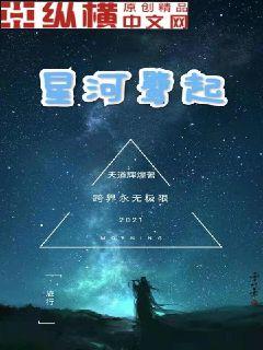 星河鷺起封面