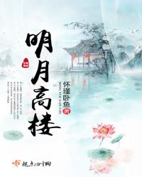 明月高樓封面