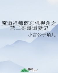 魔道祖師藍忘機視角之藍二哥哥追妻記封面