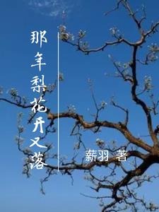 那年梨花開又落封面