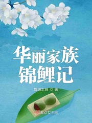 華麗家族錦鯉記封面