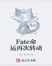 Fate命运再次转动封面