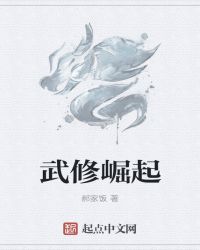 武修崛起封面