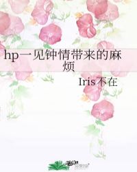 hp一见钟情带来的麻烦封面