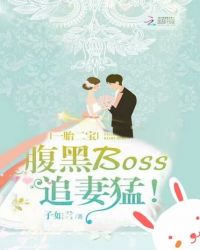 一胎二寶：腹黑Boss追妻猛！封面