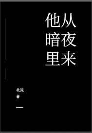 他从暗夜里来封面