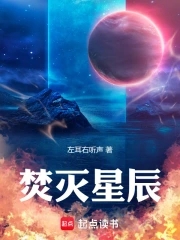 焚滅星辰封面