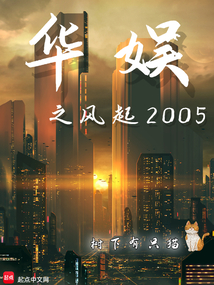 華娛之風起2005封面