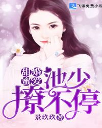 甜婚蜜愛：池少，撩不停封面