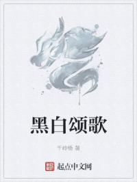 黑白颂歌封面