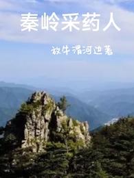 秦岭采药人封面