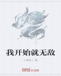 我开始就无敌封面