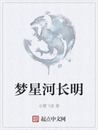 梦星河长明封面