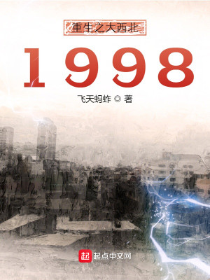 重生之大西北1998封面