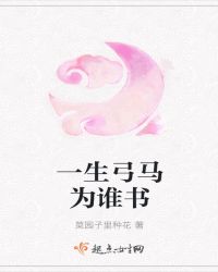 一生弓馬為誰書封面