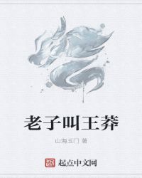 老子叫王莽封面