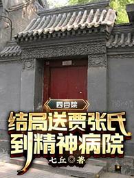 四合院：结局送贾张氏到精神病院封面