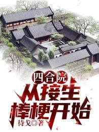 四合院：从接生棒梗开始封面