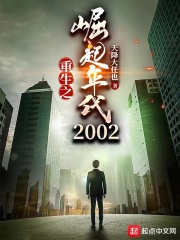 重生之崛起年代2002封面