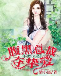 闪婚来袭：腹黑总裁夺挚爱封面