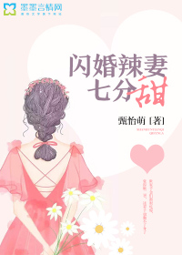 閃婚辣妻七分甜封面