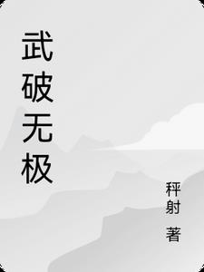 武破无极封面