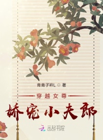 穿越女尊：娇宠小夫郎封面