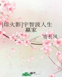 [综火影]宇智波人生赢家封面