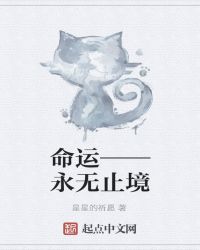 命运——永无止境封面