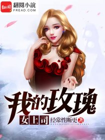 我的玫瑰女上司封面