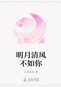 明月清風不如你封面