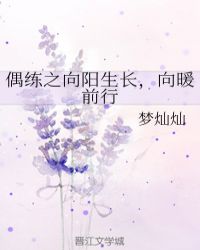 偶练之向阳生长，向暖前行封面